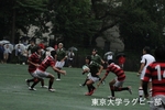 対抗戦　Avs一橋大学‐4　木下（SH)